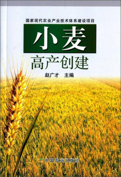 國(guó)家現(xiàn)代農(nóng)業(yè)產(chǎn)業(yè)技術(shù)體系建設(shè)項(xiàng)目：小麥高產(chǎn)創(chuàng)建
