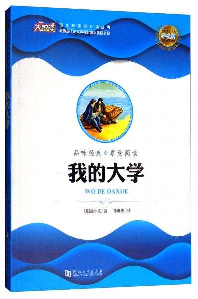 我的大學(xué)/語(yǔ)文叢書