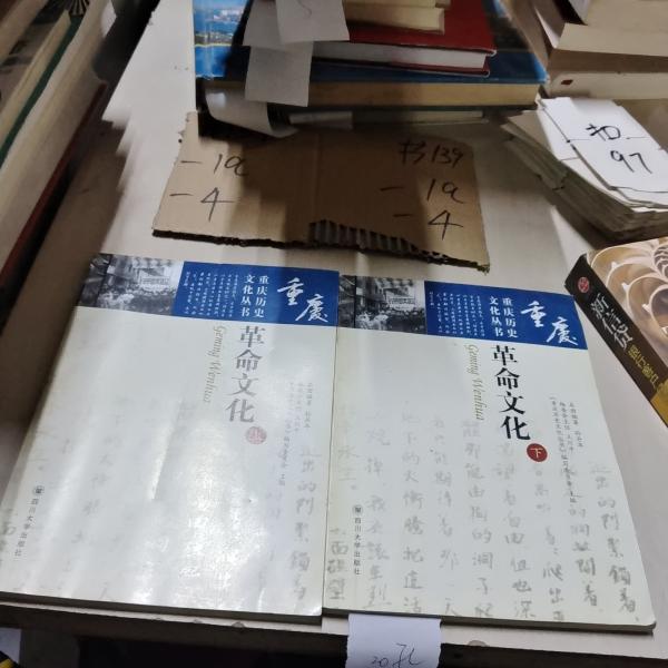 革命文化