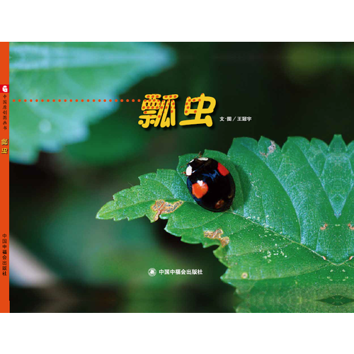 中国原创图画书：瓢虫