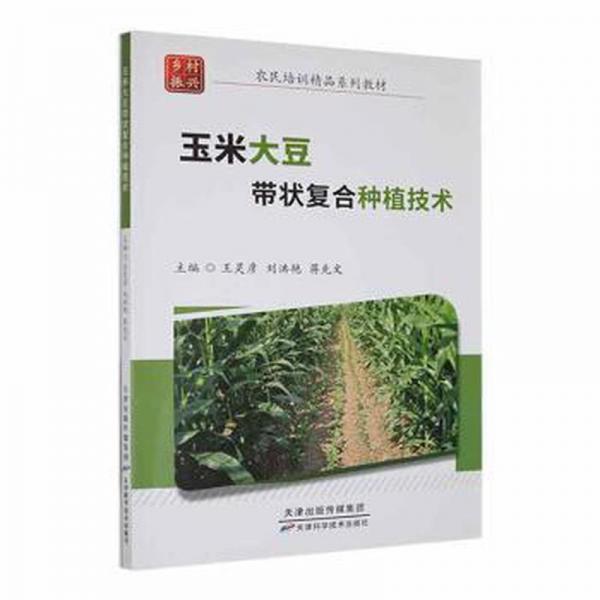 玉米大豆带状复合种植技术