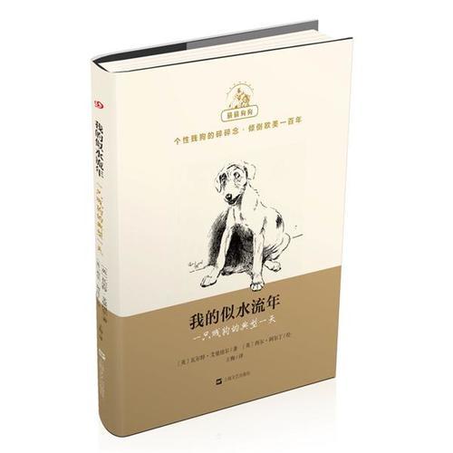 我的似水流年：一只贱狗的典型一天