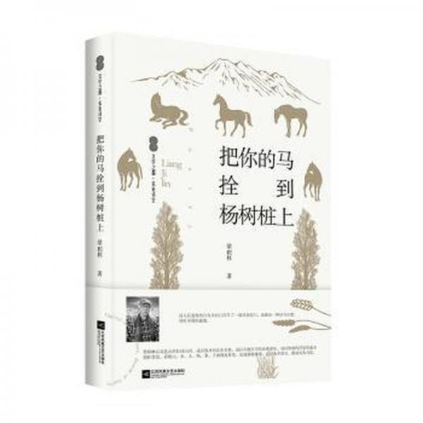 把你的馬拴到楊樹樁上 中國古典小說、詩詞 梁積林著 新華正版