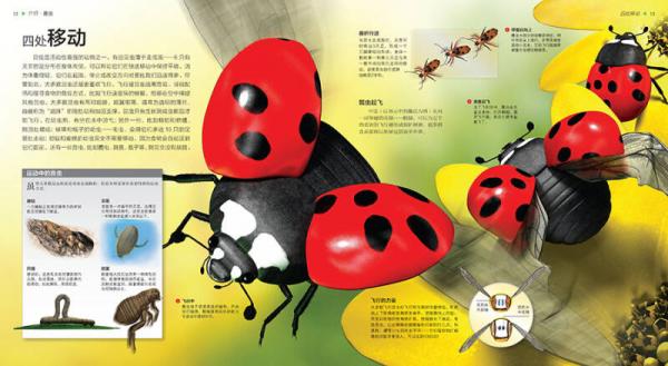 UTOP权威探秘百科·虫子