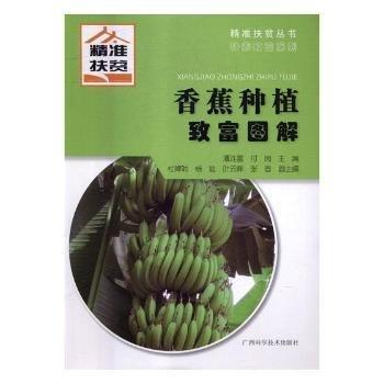 全新正版圖書 香蕉種植致富圖解潘連富廣西科學(xué)技術(shù)出版社9787555108634 黎明書店