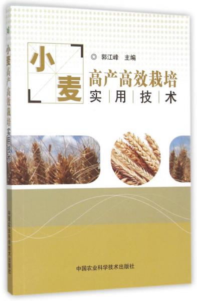 小麥高產(chǎn)高效栽培實(shí)用技術(shù)
