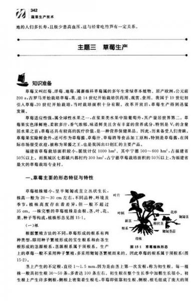 蔬菜生产技术/福建省高职高专农林牧渔大类十二五规划教材