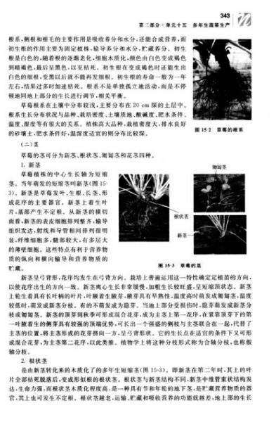 蔬菜生产技术/福建省高职高专农林牧渔大类十二五规划教材