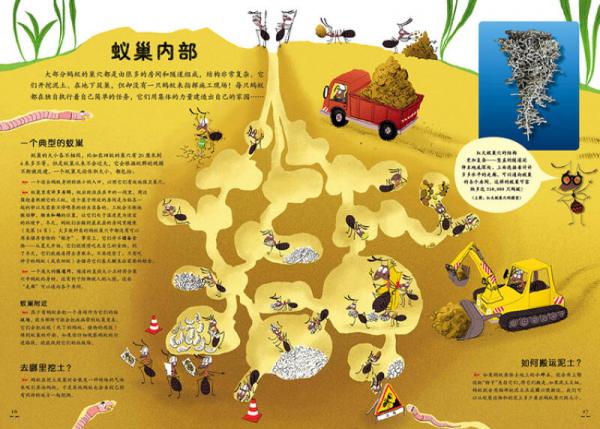 千千万万只蚂蚁