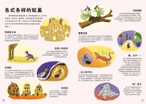 千千万万只蚂蚁