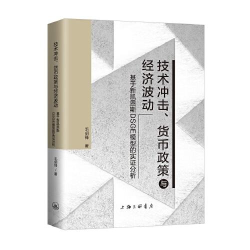 技術(shù)沖擊、貨幣政策與經(jīng)濟(jì)波動(dòng)
