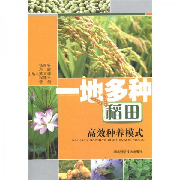 一地多種稻田高效種植模式