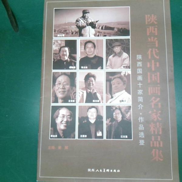 陜西當(dāng)代中國畫名家精品集