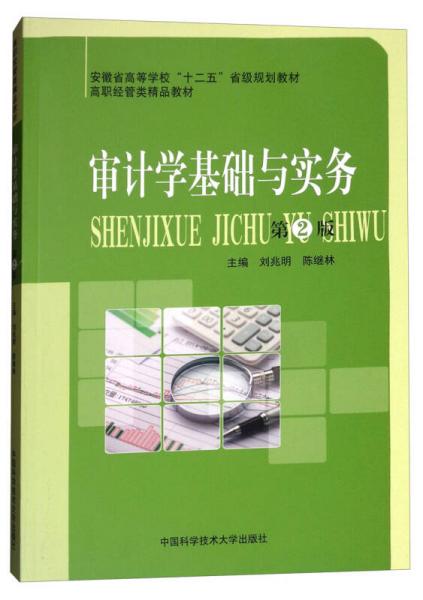 審計(jì)學(xué)基礎(chǔ)與實(shí)務(wù)（第2版）/高職經(jīng)管類(lèi)精品教材