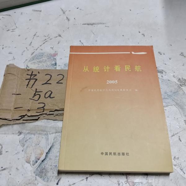 從統(tǒng)計看民航.2005