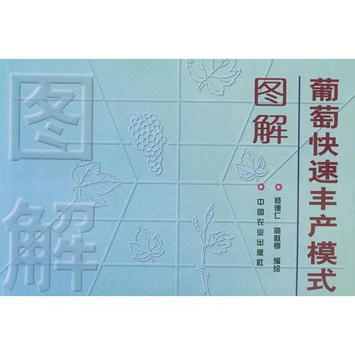 葡萄快速豐產(chǎn)模式圖解