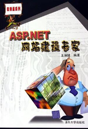 ASP.NET网站建设专家