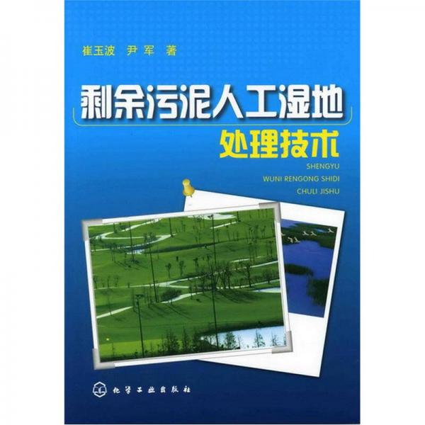 剩余污泥人工濕地處理技術(shù)