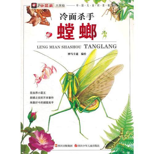 小昆蟲大探秘---冷面殺手 螳螂