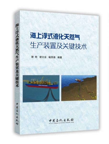 海上浮式液化天然气生产装置及关键技术