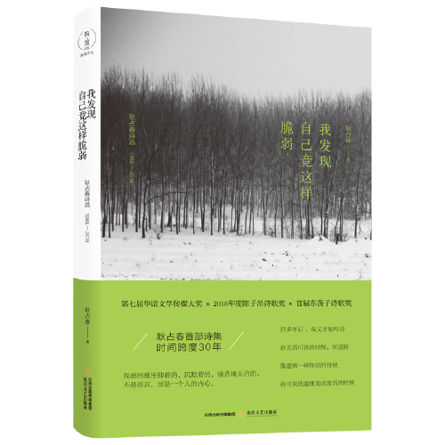 我發(fā)現(xiàn)自己竟這樣脆弱 第七屆華語文學傳媒大獎×2018年度陳子昂詩歌獎×首屆東蕩子詩歌獎 有度文化出品