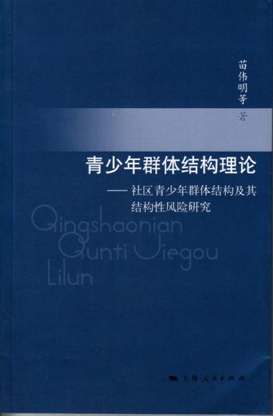 青少年群体结构理论