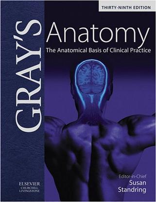 Gray's Anatomy：Gray's Anatomy