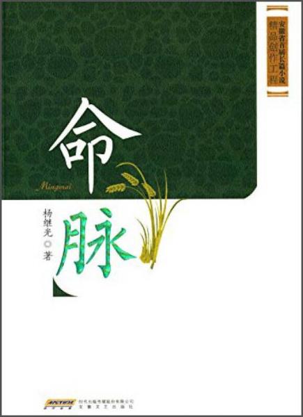 安徽省首屆長(zhǎng)篇小說(shuō)精品創(chuàng)作工程：命脈