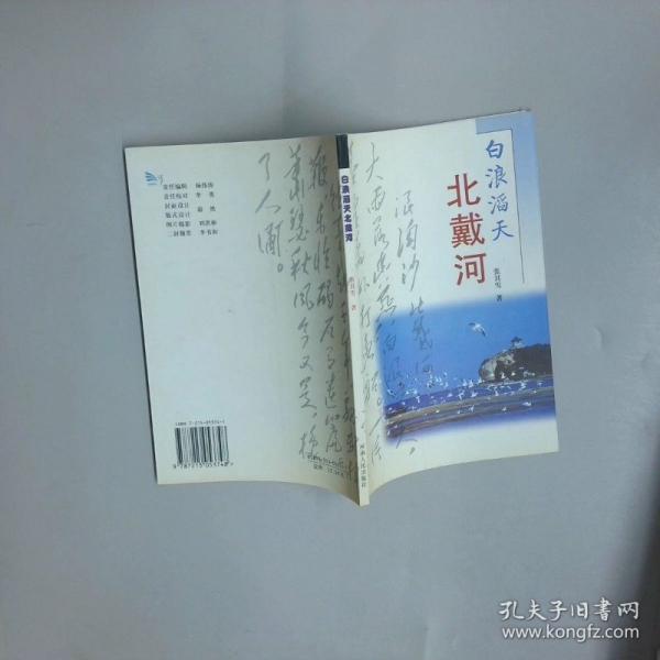白浪滔天北戴河