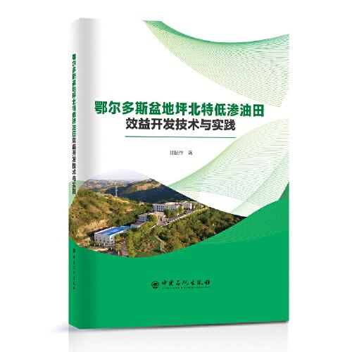鄂爾多斯盆地坪北特低滲油田效益開發(fā)技術(shù)與實(shí)踐