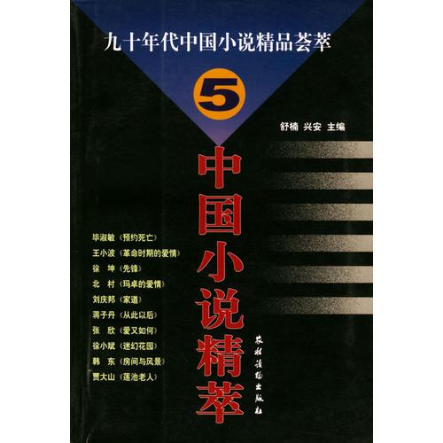 九十年代中国小说精品荟萃.5/中国小说精萃