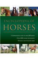 Encyclopedia Of Horses