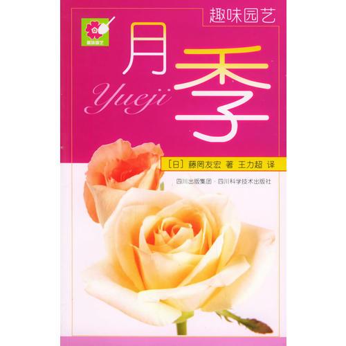 月季——趣味園藝