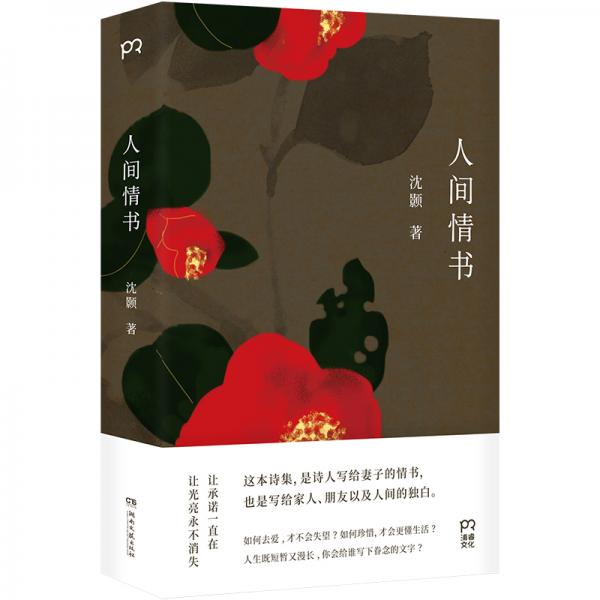 人間情書（詩人沈顥在四年間寫給妻子的情書，也是寫給家人、朋友以及人間的獨(dú)白）【浦睿文化出品】