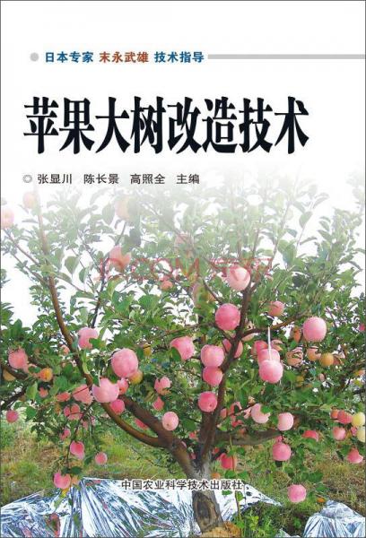 苹果大树改造技术