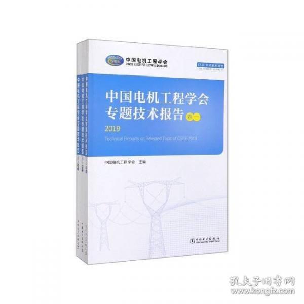 中國電機工程學(xué)會專題技術(shù)報告