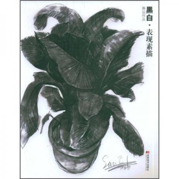 靜遠(yuǎn)作品：黑白表現(xiàn)素描