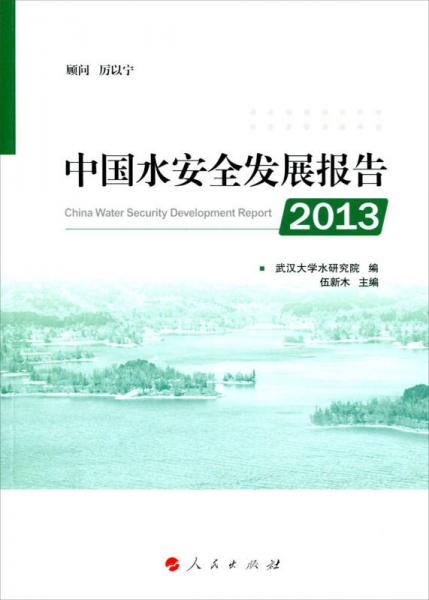 2013中国水安全发展报告