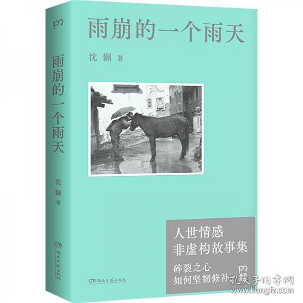 雨崩的一個雨天碎裂之心如何修補？一個詩人對生活的觀察和生命的思考。