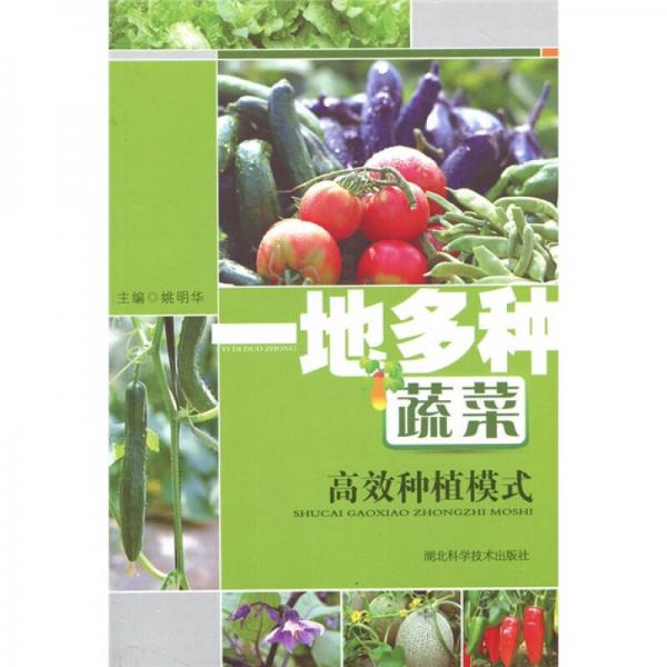 一地多種蔬菜高效種植模式