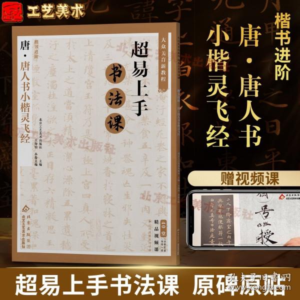 大众美育新教程超易上手书法课楷书进阶.唐唐人书小楷灵飞经