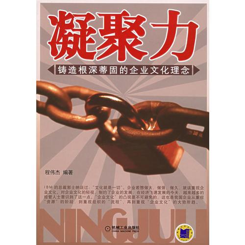 凝聚力：鑄造根深蒂固的企業(yè)文化理念