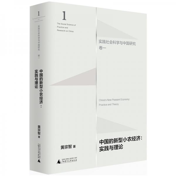 中国的新型小农经济：实践与理论（实践社会科学与中国研究·卷一）