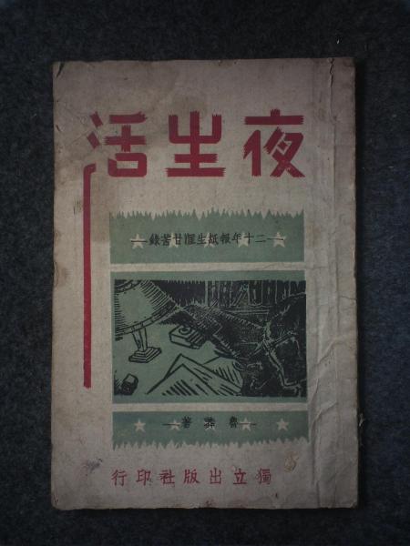 夜生活-二十年报纸生涯甘苦录