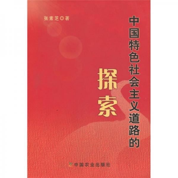 中國特色社會(huì)主義道路的探索