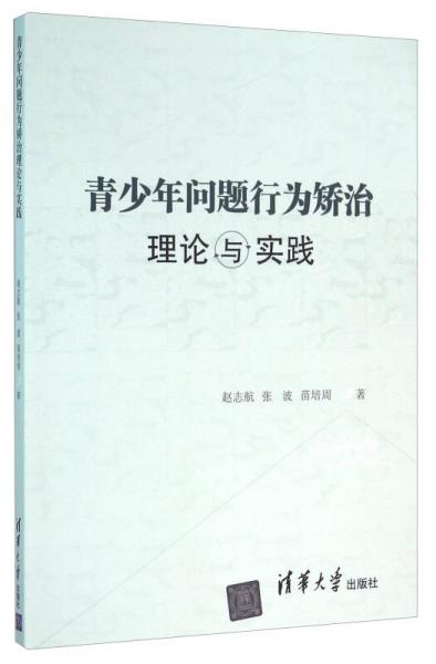 青少年问题行为矫治理论与实践