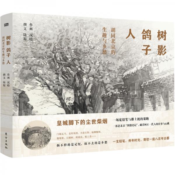 树影鸽子人：胡同北京的生趣与乡愁