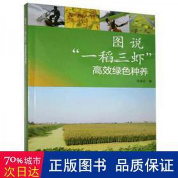 圖說“一稻三蝦”高效綠種養(yǎng) 養(yǎng)殖 張家宏