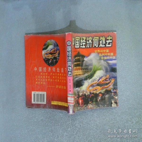 中國經(jīng)濟(jì)何處去