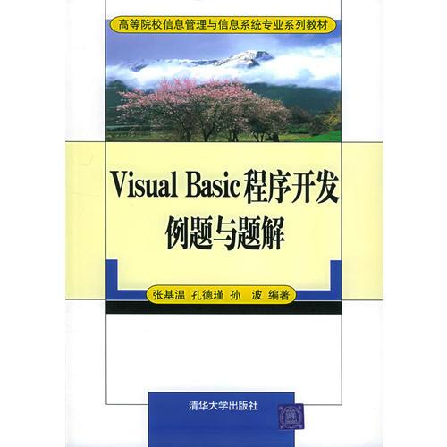 Visual Basic 程序开发例题与题解——高等院校信息管理与信息系统专业系列教材